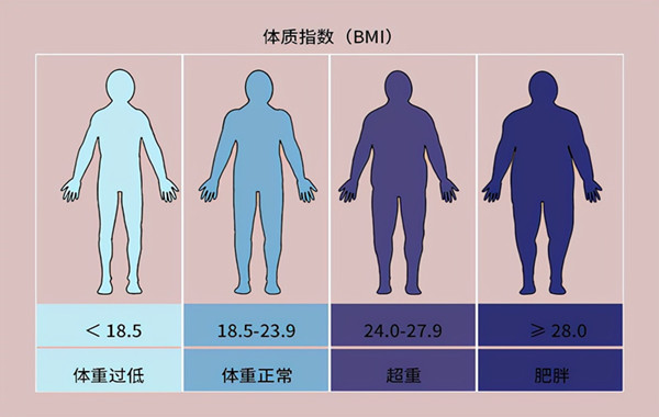 标准体重波动10%左右