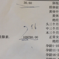 上一篇