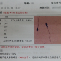 上一篇