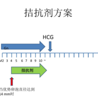 试管拮抗剂方案是什么意思？辅助生殖技术的药物治疗方案