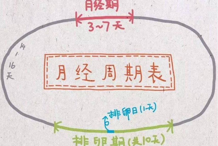 月经周期变短会加速女性衰老
