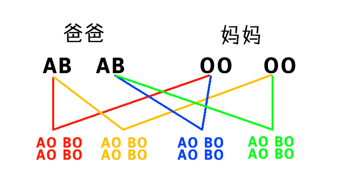 孩子的血型遗传规律随父亲还是母亲？