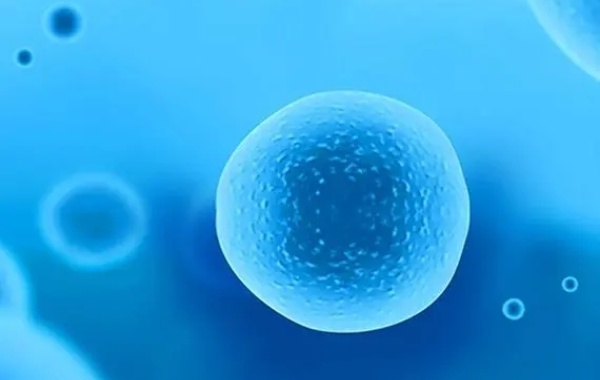 c级胚胎细胞碎片率相对来说比较高