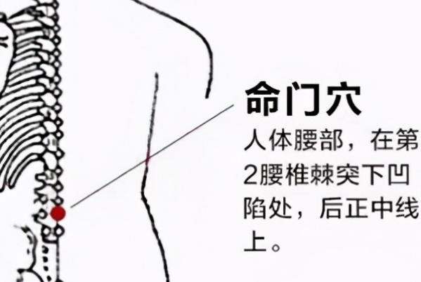 命门穴是肾气的汇聚之地