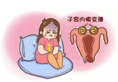 子宫内膜薄怎么调理备孕