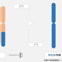 上一篇