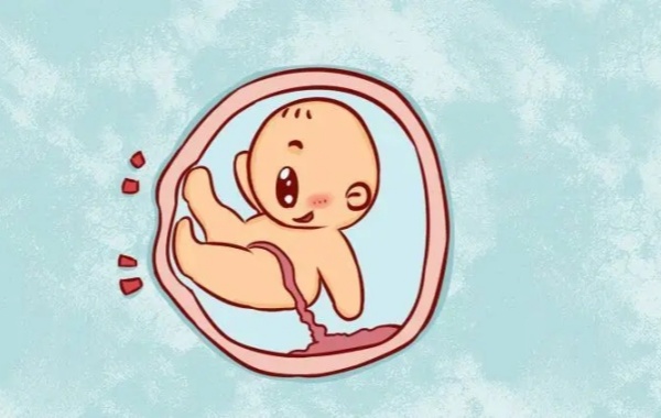 母体情绪变化大会让胎儿活动频繁