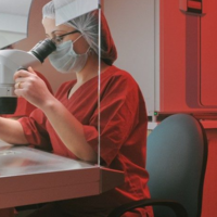 美国试管婴儿治疗，具体流程以及美国试管婴儿治疗费用明细