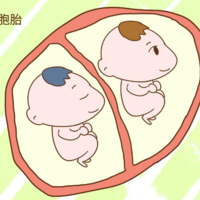 上一篇