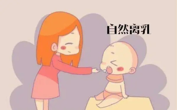 婴儿自然离乳一般持续到2岁