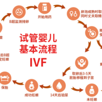 试管婴儿流程详解：六大步骤，从诊断到成功怀孕