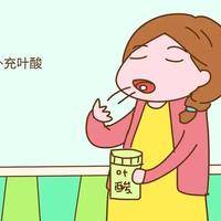 下一篇