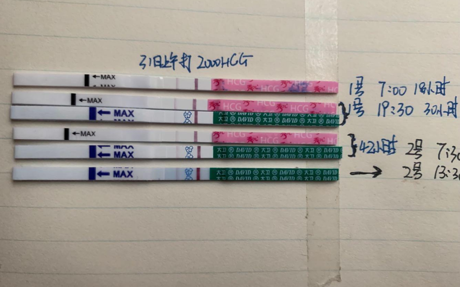 打hcg48小时内测早孕不准