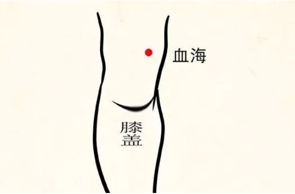 血海穴位于大腿前区