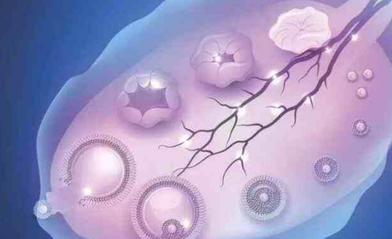 窦卵泡数量能评估卵巢功能