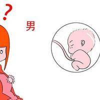 o型血为什么不能生男孩，有什么说法？