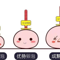 卵泡过大难产，是什么原因？