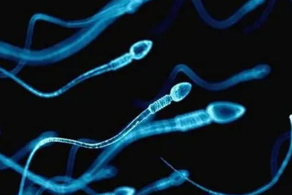 一天同房一次这样的精子质量排出后能存活几天呢？