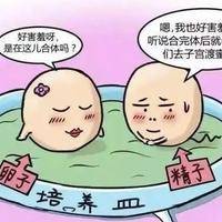 下一篇