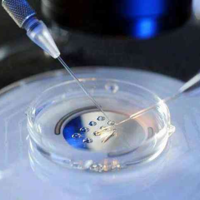 试管放2个胚胎的成活率高吗？会面临哪些风险？