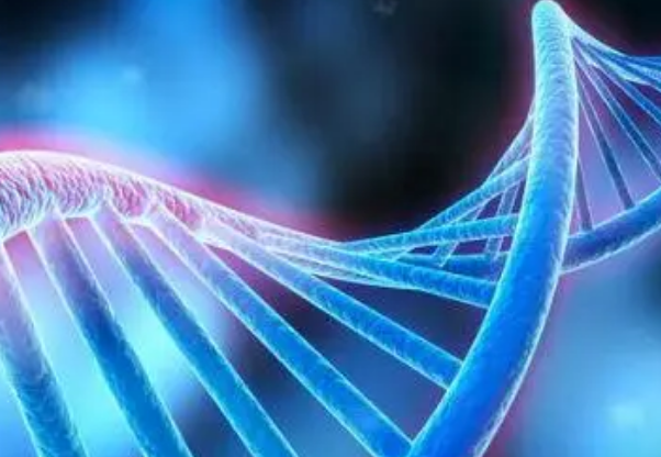 一分钟了解精子dna碎片指数，与男性的生育能力有关