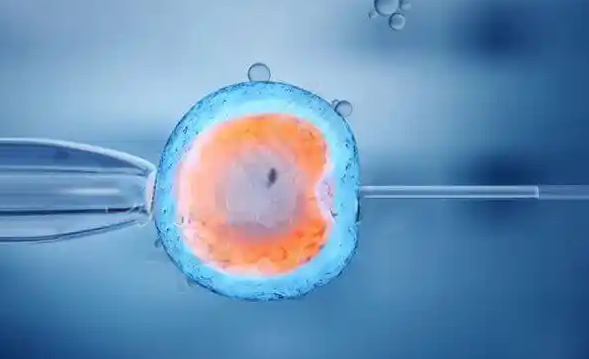 试管囊胚4bb是黑马