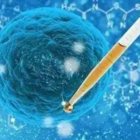 试管移植培养到第五天的3AB囊胚的胚胎着床成功率是多少？