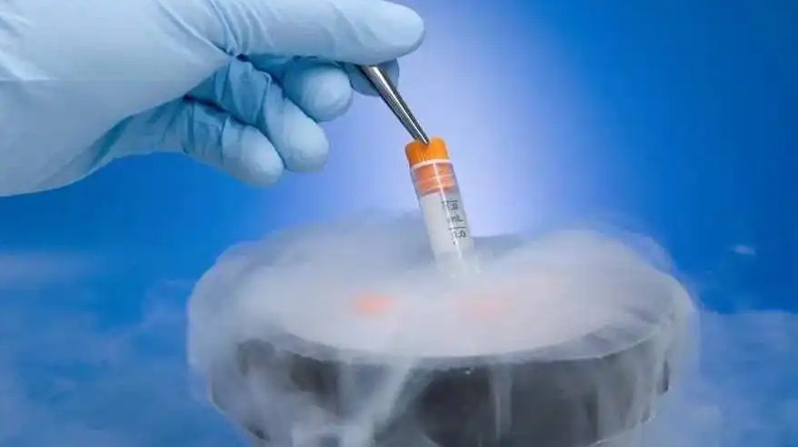 试管鲜胚移植十三天白板抽血成功的几率大吗？附成功案例分享！