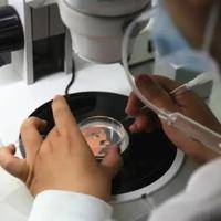 详解3代试管一筛和二筛的区别，具体实施过程有很大不同