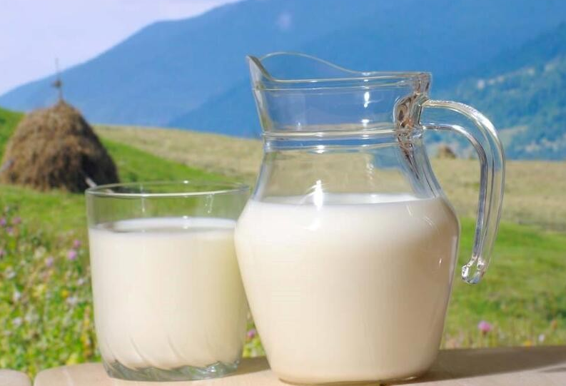 有机生牛乳比生牛乳更加健康