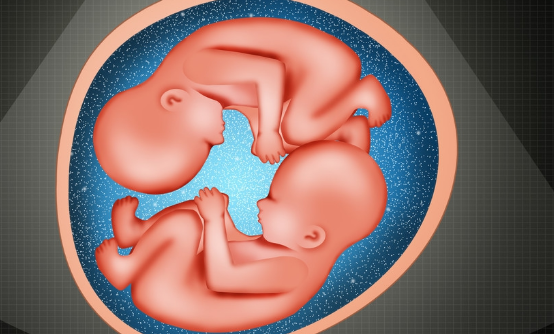 生双胞胎更是许多家庭比较向往的