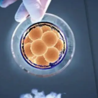 高龄试管会不会几乎没有一级胚胎可供移植？
