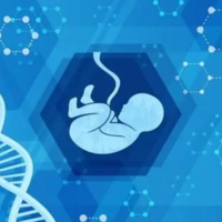想要保证试管一次就成功有秘诀，做好这5点想不受孕都难