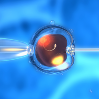 3代试管进入周期后详细流程指南，到移植胚胎要经历6个阶段