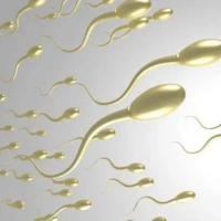 一文教你了解男性的精子，年龄会影响精子的生成