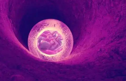 子宫内膜是胚胎着床的场所