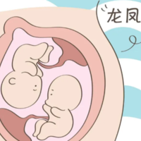 上一篇