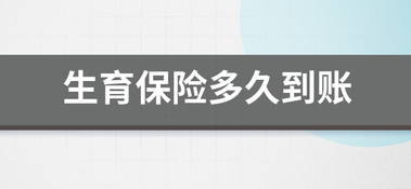 走完生育险申请流程后钱最晚几个月到账