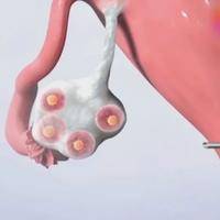 下一篇