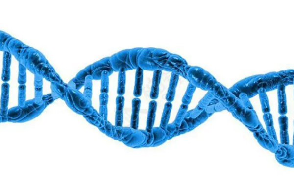 男孩智商100%遗传母亲是真的吗，男孩智商完全遗传母亲吗