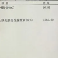 上一篇