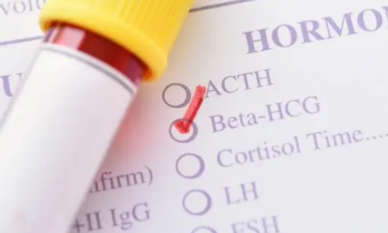hcg是由胎盘滋养层分泌的糖蛋白