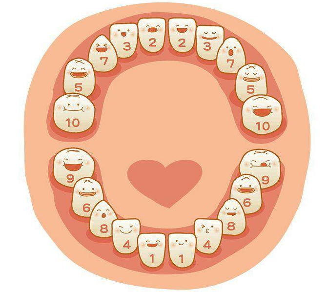 宝宝长牙顺序图片，宝宝长牙期间需要注意的事项