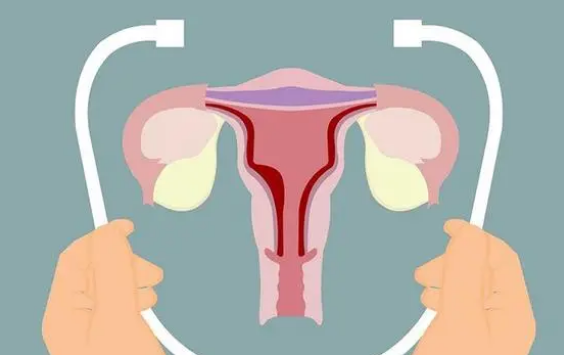 子宫内膜炎能改变子宫内膜形态