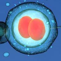3级胚胎试管移植成功经验分享，保持好心态格外重要