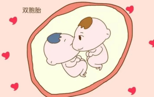 自然怀双胞胎是因为福气风水不可信