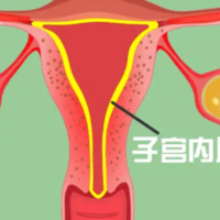 处在分泌期的子宫内膜会影响做试管移植的成功率吗？