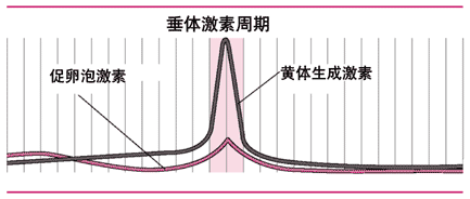 月经期性激素变化图