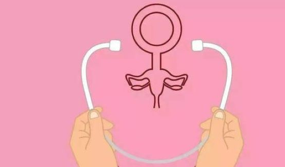 女性的输卵管是与宫腔相通
