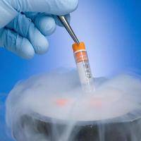 打算做三代试管孕酮17ng/ml低对移植冻胚有影响吗？